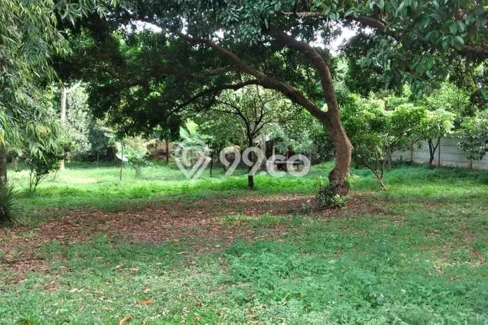 Dijual Tanah 3000m2 di Bojong Sari, Depok Dijual Tanah 3000m2 di Bojong Sari, Depok