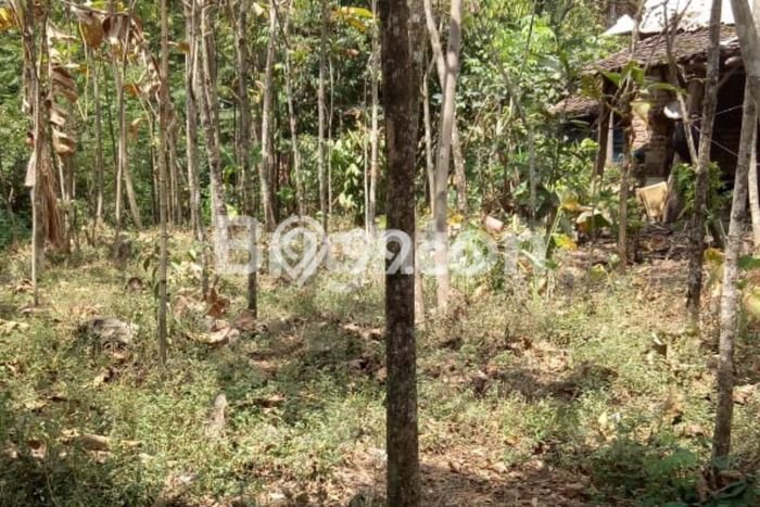 Lahan Kosong Dijual di Pandaan, Pasuruan, Luas 1369m2 Area Strategis Lahan Kosong Dijual di Pandaan, Pasuruan, Luas 1369m2 Area Strategis