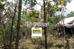 Lahan Dijual Lokasi Pandaan, Pasuruan dengan Luas Tanah 1369m2 dan Status SHM Lahan Dijual Lokasi Pandaan, Pasuruan dengan Luas Tanah 1369m2 dan Status SHM