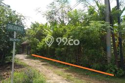 Tanah Siap Bangun Dijual di Badung Punya Luas 500m2 Tanah Siap Bangun Dijual di Badung Punya Luas 500m2