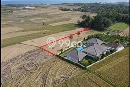 Tanah Kavling Disewakan di Tegalmengkeb dengan Luas 2405m2 Tanah Kavling Disewakan di Tegalmengkeb dengan Luas 2405m2
