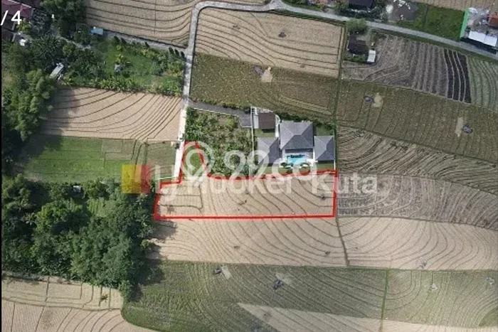 Tanah Kavling Disewakan di Tegalmengkeb dengan Luas 2405m2 Tanah Kavling Disewakan di Tegalmengkeb dengan Luas 2405m2