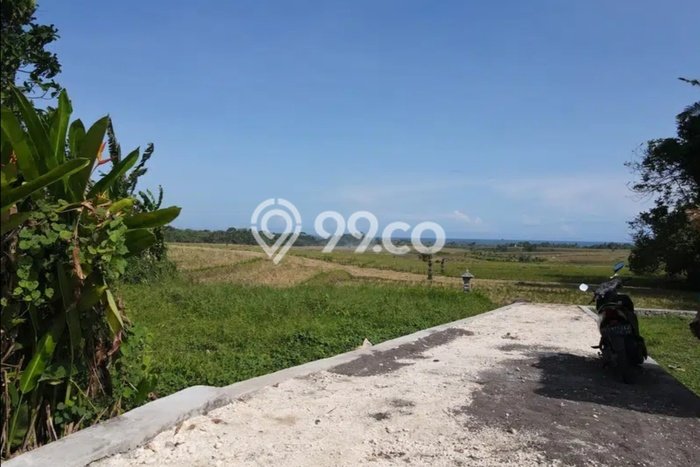 Tanah Kavling Disewakan di Tegalmengkeb dengan Luas 2405m2 Tanah Kavling Disewakan di Tegalmengkeb dengan Luas 2405m2
