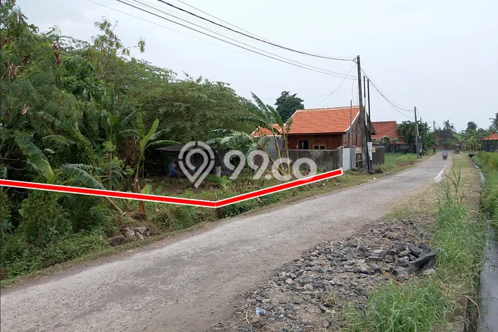 Untuk Disewa Tanah di Kedungu Tabanan Seluas 275m2 Untuk Disewa Tanah di Kedungu Tabanan Seluas 275m2