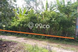 Jarang Ada! Tanah Kavling Disewakan di Badung 500m2 Jarang Ada! Tanah Kavling Disewakan di Badung 500m2