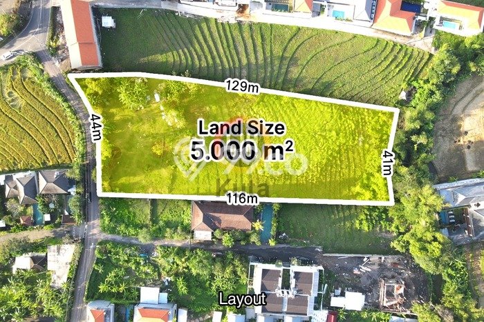 Tanah Siap Bangun Dijual di Badung Punya Luas 5000m2 Tanah Siap Bangun Dijual di Badung Punya Luas 5000m2