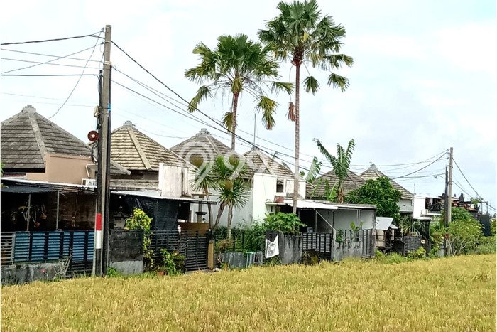 Dijual Hunian Rumah Nyaman 2 KT di Pandakgede, Tabanan Dijual Hunian Rumah Nyaman 2 KT di Pandakgede, Tabanan