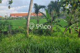 Untuk Dijual Tanah di Badung, Luas 2536m2 SHM Untuk Dijual Tanah di Badung, Luas 2536m2 SHM