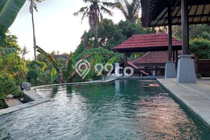 Rumah Elit Modern Tanpa Renovasi di Pering Gianyar Rumah Elit Modern Tanpa Renovasi di Pering Gianyar