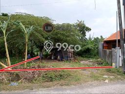 Tanah Kavling untuk Disewa di Kediri Tabanan 275m2 Tanah Kavling untuk Disewa di Kediri Tabanan 275m2