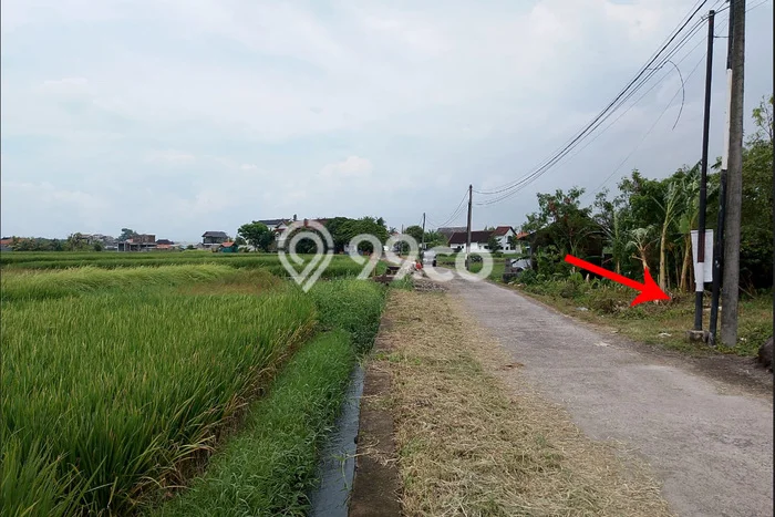 Untuk Disewa Tanah di Kedungu Tabanan Seluas 275m2 Untuk Disewa Tanah di Kedungu Tabanan Seluas 275m2