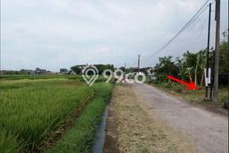 Untuk Disewa Tanah di Kedungu Tabanan Seluas 275m2 Untuk Disewa Tanah di Kedungu Tabanan Seluas 275m2