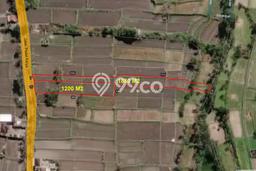 Tanah Kavling Dijual di Gianyar dengan Spesifikasi 3050m2 Tanah Kavling Dijual di Gianyar dengan Spesifikasi 3050m2