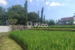 Untuk Dijual Tanah 910m2 di Keramas, Gianyar Untuk Dijual Tanah 910m2 di Keramas, Gianyar