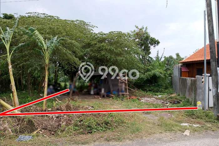 Untuk Disewa Tanah di Kedungu Tabanan Seluas 275m2 Untuk Disewa Tanah di Kedungu Tabanan Seluas 275m2
