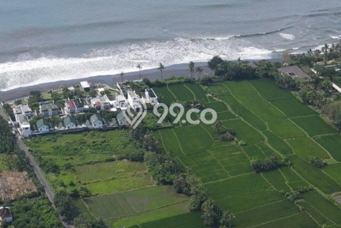 Tanah Investasi Dijual di Gianyar Punya Luas 1580m2 Tanah Investasi Dijual di Gianyar Punya Luas 1580m2