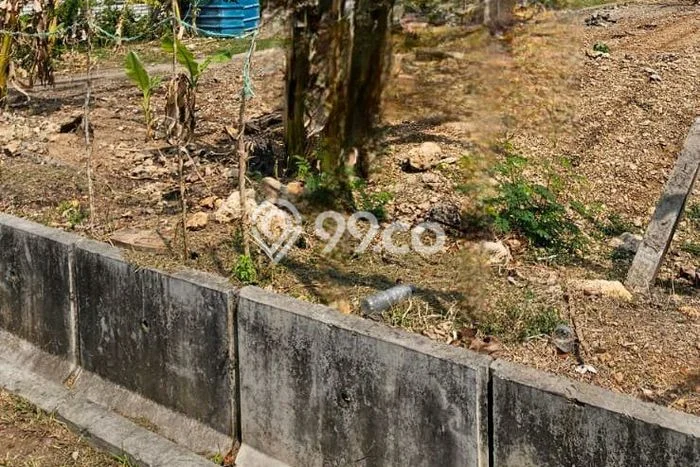 Lahan Kosong Dijual di Lamongan dengan Area 2442m2 Lahan Kosong Dijual di Lamongan dengan Area 2442m2