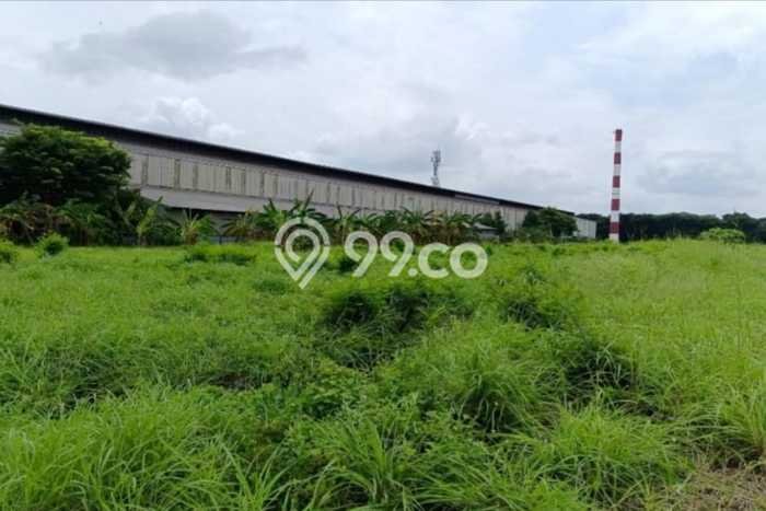 Tanah Dijual Lokasi Manyar, Gresik Luas 63745m2 Legalitas Aman Tanah Dijual Lokasi Manyar, Gresik Luas 63745m2 Legalitas Aman