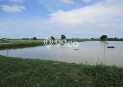 Tanah Kavling Dijual di Ujung Pangkah, Gresik dengan Luas Tanah 9000m2 Tanah Kavling Dijual di Ujung Pangkah, Gresik dengan Luas Tanah 9000m2