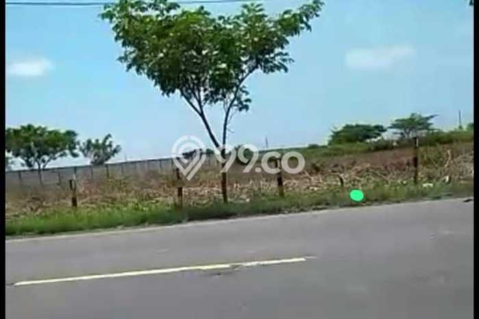 Tanah Dijual Lokasi Widang, Tuban Luas 40000m2 Legalitas Aman Tanah Dijual Lokasi Widang, Tuban Luas 40000m2 Legalitas Aman