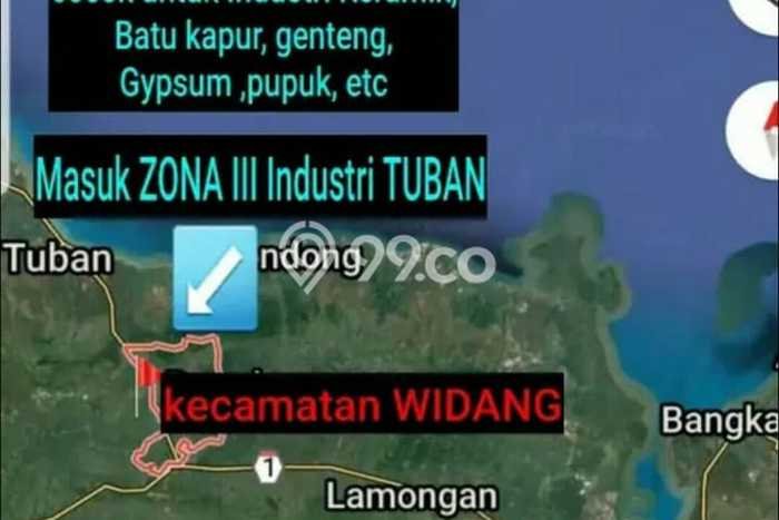 Tanah Dijual Lokasi Widang, Tuban Luas 40000m2 Legalitas Aman Tanah Dijual Lokasi Widang, Tuban Luas 40000m2 Legalitas Aman