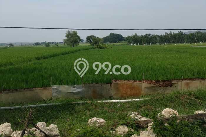 Untuk Dijual Tanah di Widang Tuban Luas 30000m2 SHM Untuk Dijual Tanah di Widang Tuban Luas 30000m2 SHM