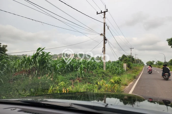 Dijual Tanah 31000m2 di Ujung Pangkah, Gresik Dijual Tanah 31000m2 di Ujung Pangkah, Gresik