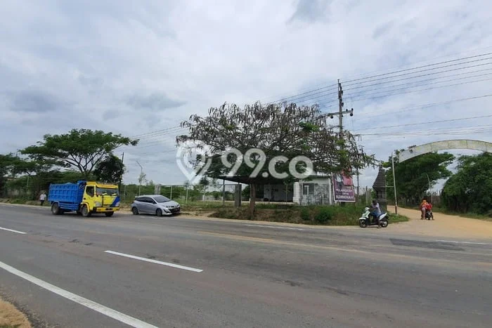 Gudang Dijual Lokasi Stratagis di Bancar Tuban Cocok untuk Investasi Gudang Dijual Lokasi Stratagis di Bancar Tuban Cocok untuk Investasi