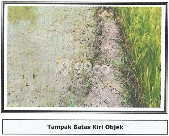 Tanah Kavling untuk Dijual di Balongpanggang Gresik 10225m2 Tanah Kavling untuk Dijual di Balongpanggang Gresik 10225m2