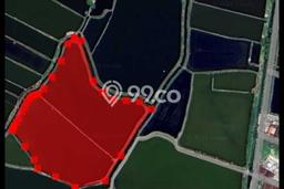 Dijual Tanah Area Strategis di Duduk Sampeyan, Luas 20000m2m², Prospek Bagus Dijual Tanah Area Strategis di Duduk Sampeyan, Luas 20000m2m², Prospek Bagus