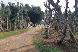 Kavling Tanah Dijual di Parung Bogor Spesifikasi 37800m2 Kavling Tanah Dijual di Parung Bogor Spesifikasi 37800m2