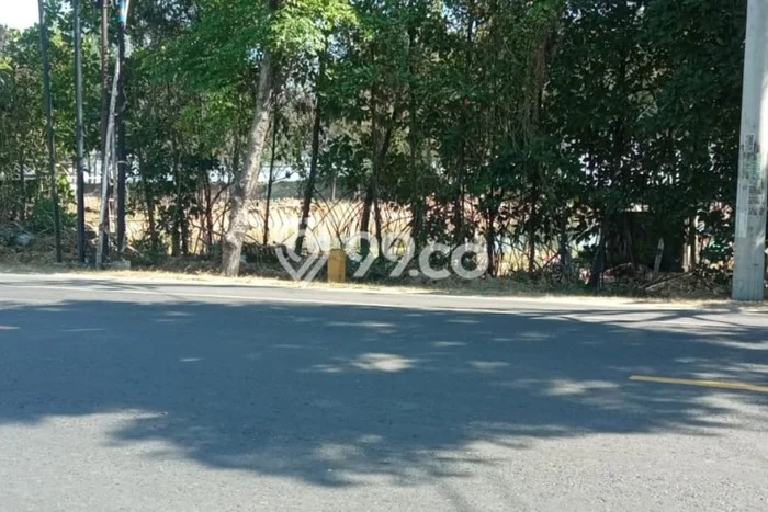 Tanah Kosong Dijual di Tuban dengan Area 10350m2 Tanah Kosong Dijual di Tuban dengan Area 10350m2
