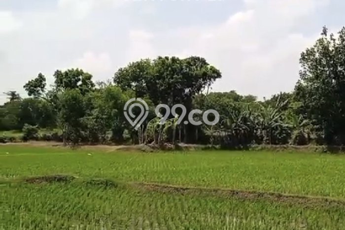 Lahan Kosong Dijual di Kuningan dengan Area 45000m2 Lahan Kosong Dijual di Kuningan dengan Area 45000m2