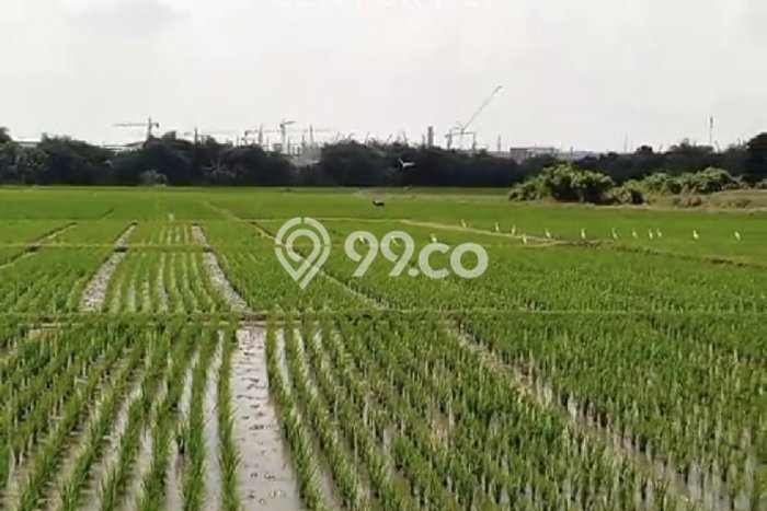 Lahan Kosong Dijual di Kuningan dengan Area 45000m2 Lahan Kosong Dijual di Kuningan dengan Area 45000m2