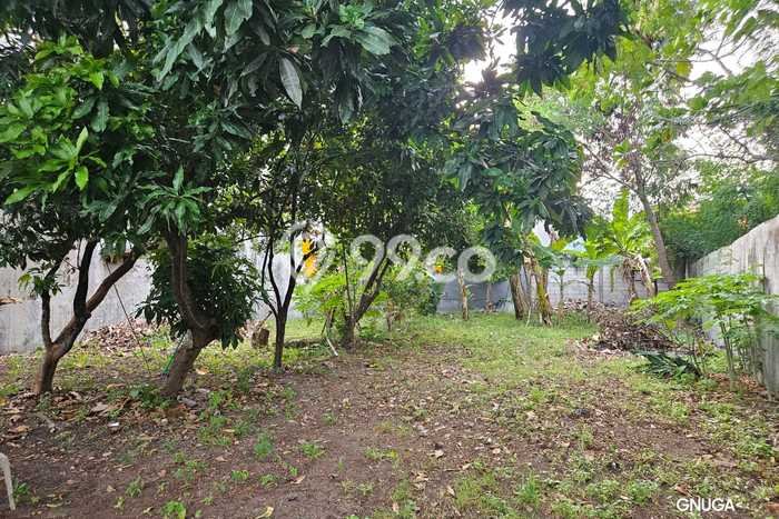 Tanah Dijual Lokasi Rungkut Surabaya - Tanah Dijual Lokasi Rungkut Surabaya -
