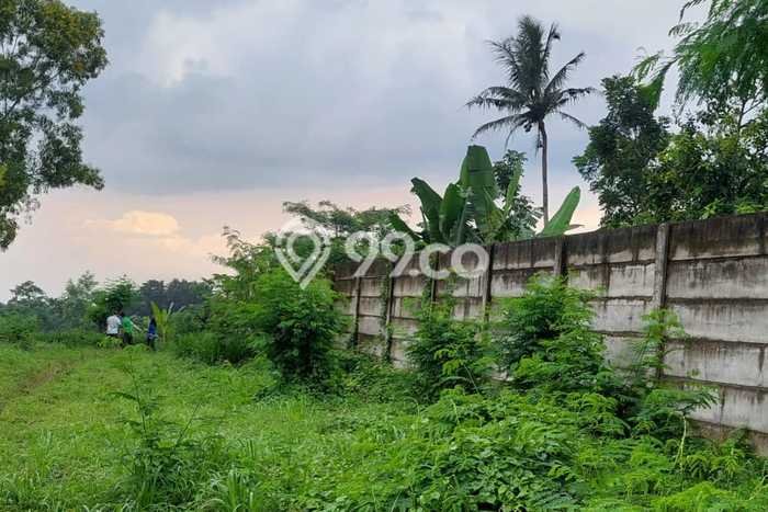 Tanah untuk Dijual Lokasi Prigen, Pasuruan Luas 12300m2 SHM Tanah untuk Dijual Lokasi Prigen, Pasuruan Luas 12300m2 SHM