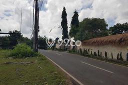 Tanah Dijual Area Strategis di Pecatu Badung 2000m2 Tanah Dijual Area Strategis di Pecatu Badung 2000m2