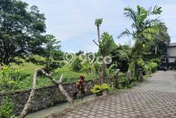 Dijual Tanah Lokasi Kerobokan Kelod, Badung Seluas 4550m2 Dijual Tanah Lokasi Kerobokan Kelod, Badung Seluas 4550m2