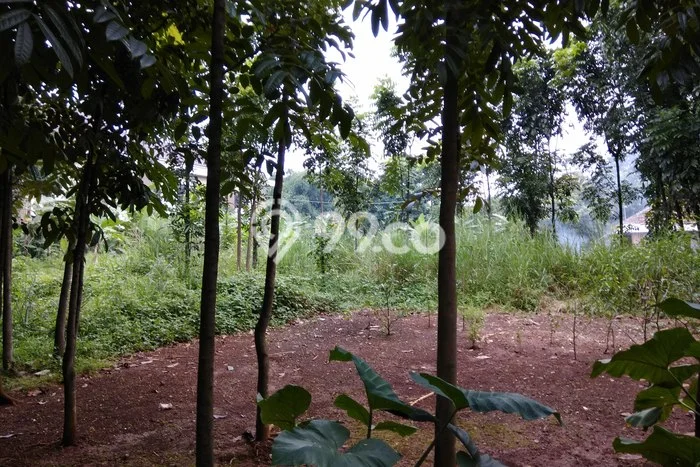 Untuk Dijual Tanah di Purwakarta, Luas 4070m2 SHM Untuk Dijual Tanah di Purwakarta, Luas 4070m2 SHM