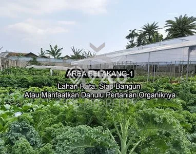 Jarang Ada! Tanah di Parongpong Punya Luas 3122m2 SHM Jarang Ada! Tanah di Parongpong Punya Luas 3122m2 SHM