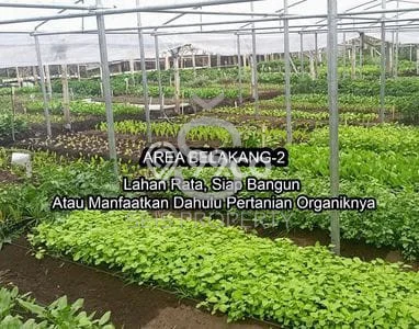 Jarang Ada! Tanah di Parongpong Punya Luas 3122m2 SHM Jarang Ada! Tanah di Parongpong Punya Luas 3122m2 SHM
