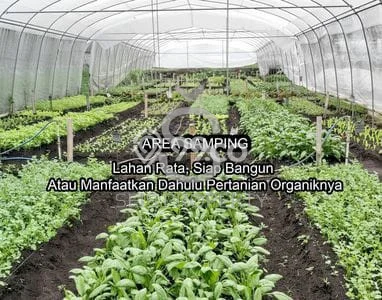 Jarang Ada! Tanah di Parongpong Punya Luas 3122m2 SHM Jarang Ada! Tanah di Parongpong Punya Luas 3122m2 SHM