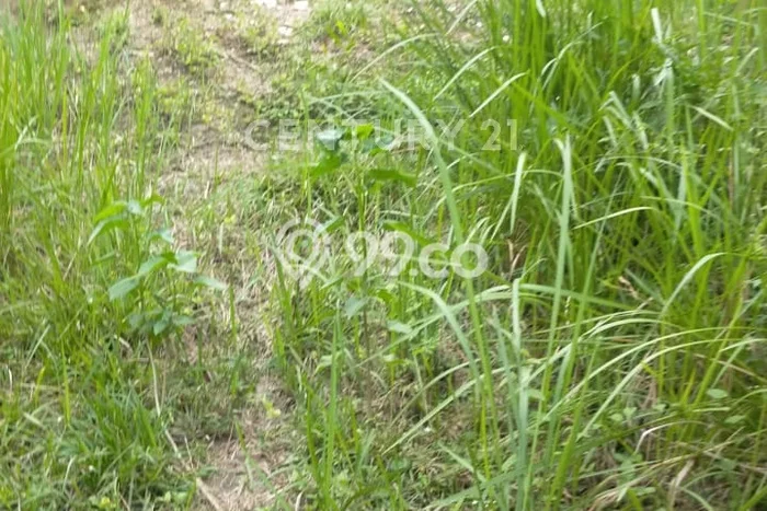 Lahan Kosong Dijual di Bekasi dengan Area 228m2 Lahan Kosong Dijual di Bekasi dengan Area 228m2