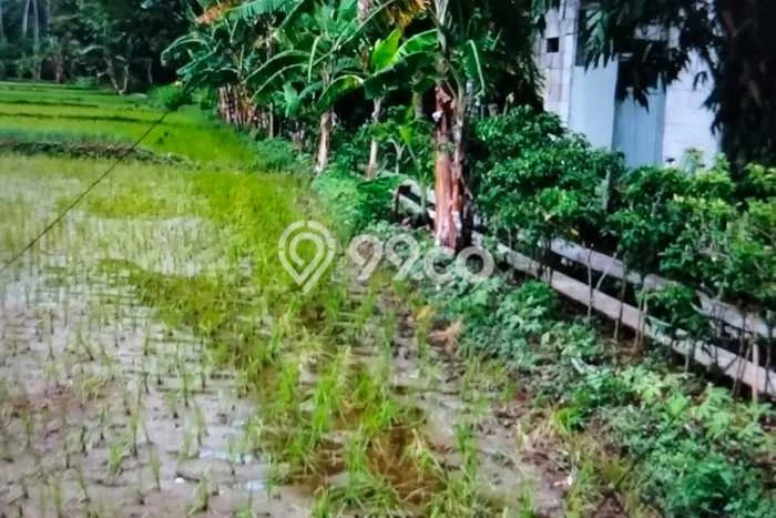 Tanah Dijual di Yogyakarta Seluas 3768m2 Strategis Tanah Dijual di Yogyakarta Seluas 3768m2 Strategis