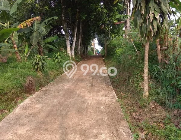 Jarang Ada! Tanah di Bojong Gede Punya Luas 5315m2 SHM Jarang Ada! Tanah di Bojong Gede Punya Luas 5315m2 SHM