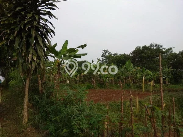 Jarang Ada! Tanah di Bojong Gede Punya Luas 5315m2 SHM Jarang Ada! Tanah di Bojong Gede Punya Luas 5315m2 SHM