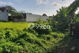 Tanah Kavling Dijual di Kerobokan, Badung dengan Luas Tanah 1000m2 Tanah Kavling Dijual di Kerobokan, Badung dengan Luas Tanah 1000m2