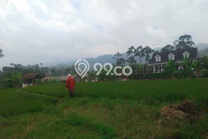 Lahan Investasi Lokasi Ciwidey Bandung AJB Lahan Investasi Lokasi Ciwidey Bandung AJB