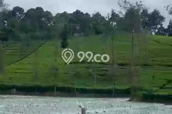 Jarang Ada! Tanah di Ciwidey Punya Luas 2772m2 SHM Jarang Ada! Tanah di Ciwidey Punya Luas 2772m2 SHM