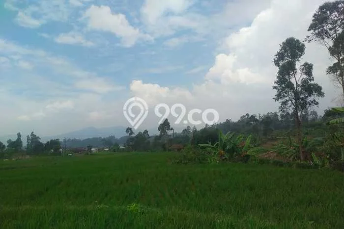 Lahan Investasi Lokasi Ciwidey Bandung AJB Lahan Investasi Lokasi Ciwidey Bandung AJB